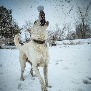 Meet your Posher, Leah